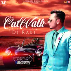Cat Walk - Single by DJ Rabi album reviews, ratings, credits
