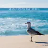Seagulls on the Beach album lyrics, reviews, download