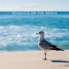 Seagulls and Relaxing Ocean Waves Song Lyrics