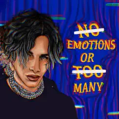 No Emotions OR Too Many by Animmea album reviews, ratings, credits