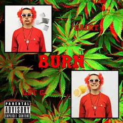Burn it up (feat. SAINT.) - Single by Luet Gepunkt album reviews, ratings, credits