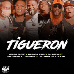 Tigueron (feat. Liro Shaq, Tivi Gunz & La Chipa de ete Lao) - Single by Verbo Flow, Haraca Kiko & DJ Patio album reviews, ratings, credits