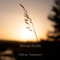Silent Summer - Single by Dream Fields album reviews, ratings, credits