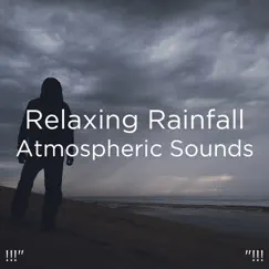 Mindfulness Nature & Rain Song Lyrics