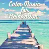 Calm Music for Relaxation album lyrics, reviews, download