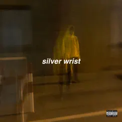Silver Wrist Song Lyrics