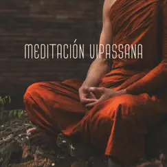 Meditación Vipassana - Música Relajante para la Técnica de Meditación India by Meditación Música Ambiente & Relax musica zen club album reviews, ratings, credits