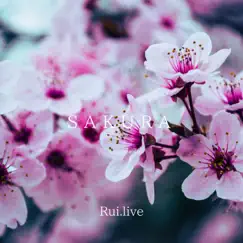 Sakura - Single by Rui.live album reviews, ratings, credits