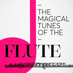 Flute and Harp Concerto in C Major, K. 299: II. Andantino Song Lyrics