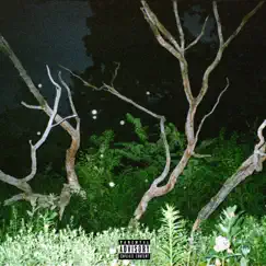 TREE - Single by SoloSam & S-O-S album reviews, ratings, credits