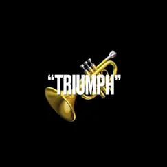 Triumph - Single by Jay Bank$ album reviews, ratings, credits
