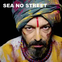 Sea No Street (feat. Sabina Sciubba, Gianluca Petrella & Stefano Tamborrino) - Single by Riccardo Onori album reviews, ratings, credits