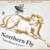 Northern Fly (Demo) [Demo] - Single album lyrics, reviews, download