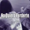 No Quiero Perderte - Single album lyrics, reviews, download