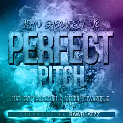 Perfect Pitch - Single (feat. Tayy Tarantino & Antoine Edwards Jr) - Single by John Shewfelt Jr album reviews, ratings, credits