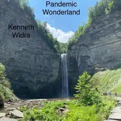 Pandemic Wonderland by Kenneth Widra album reviews, ratings, credits