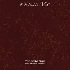 Trepidation (feat. Msafiri Zawose) - Single by Feiertag album reviews, ratings, credits