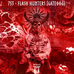 Flash Hunters - Single by 753 album reviews, ratings, credits