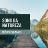 Sons da Natureza - Música Calmante para Alívio do Estresse album lyrics, reviews, download