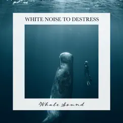 Whale Sounds, Pt. 5 Song Lyrics