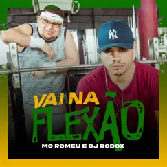 Vai Na Flexão Song Lyrics