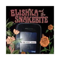 Do You Want Sound? - Single by Elishka and the Snakebite album reviews, ratings, credits