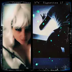 Vignettes 17 by Cosmo Jones album reviews, ratings, credits