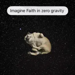 Faith in Zero Gravity - Single by New Goo album reviews, ratings, credits