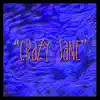 Crazy Sane album lyrics, reviews, download