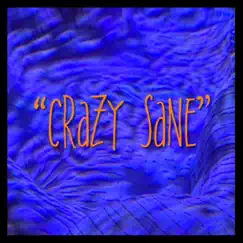 Crazy Sane by Jay Bank$ album reviews, ratings, credits