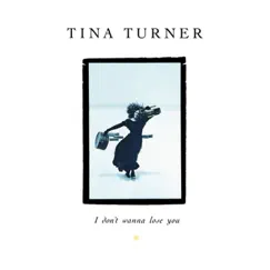 I Don’t Wanna Lose You (The Singles) - Single by Tina Turner album reviews, ratings, credits