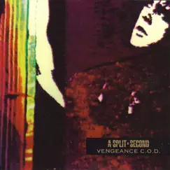 Vengeance C.O.D. Song Lyrics
