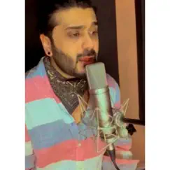 Meray Halaat - Single by Hamza Malik album reviews, ratings, credits