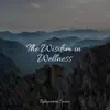 The Wisdom in Wellness album lyrics, reviews, download