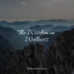 The Wisdom in Wellness by Meditation Rain Sounds, Sounds of Nature Noise & Relaxation Space album reviews, ratings, credits