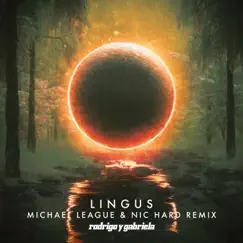 Lingus (Michael League & Nic Hard Remix) [feat. Michael League] - Single by Rodrigo y Gabriela album reviews, ratings, credits