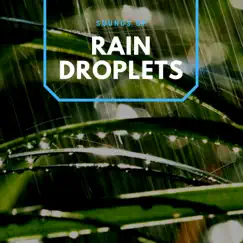 Sounds of Rain Droplets - EP by Natural Sample Makers & Natural Samples album reviews, ratings, credits