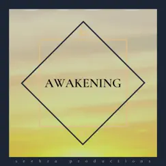 Awakening - Single by Seehra Brothers album reviews, ratings, credits
