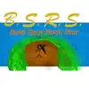 B.S.R.S. (Bald Spot Rock Star) album lyrics, reviews, download