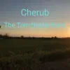 Cherub (Demo) - Single album lyrics, reviews, download