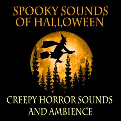 Spooky Sounds of Halloween-XXIII Song Lyrics