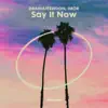 Say It Now - Single album lyrics, reviews, download
