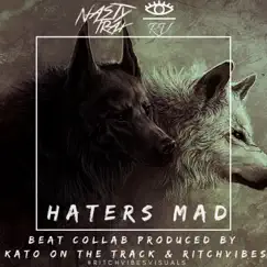 Haters Mad (Instrumental) - Single by RitchVibes & Kato On The Track album reviews, ratings, credits