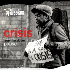 Crisis (Fine Young Mix) [Fine Young Mix] - Single by Taj Weekes album reviews, ratings, credits
