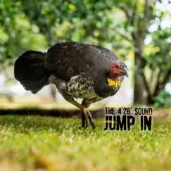 Jump In - Single by The 4'20' Sound album reviews, ratings, credits