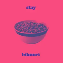 Stay - Single by Bilmuri album reviews, ratings, credits