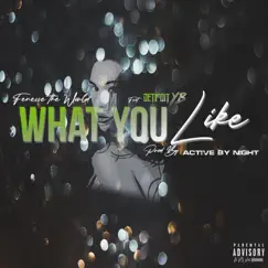 What You Like (feat. Detroit YB) Song Lyrics