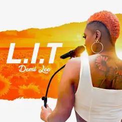 L.I.T - Single by Demi Lee album reviews, ratings, credits