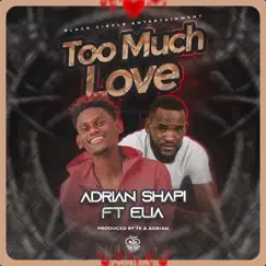 Too Much Love Song Lyrics