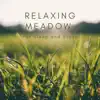 Relaxing Meadow for Sleep and Study album lyrics, reviews, download